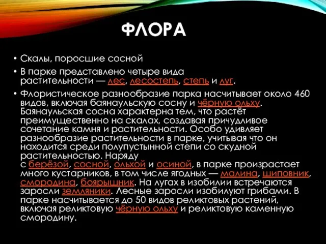 ФЛОРА Скалы, поросшие сосной В парке представлено четыре вида растительности — лес, лесостепь,