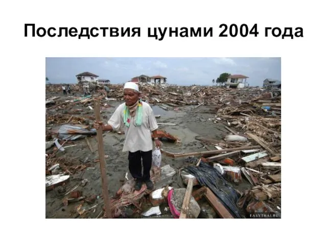 Последствия цунами 2004 года