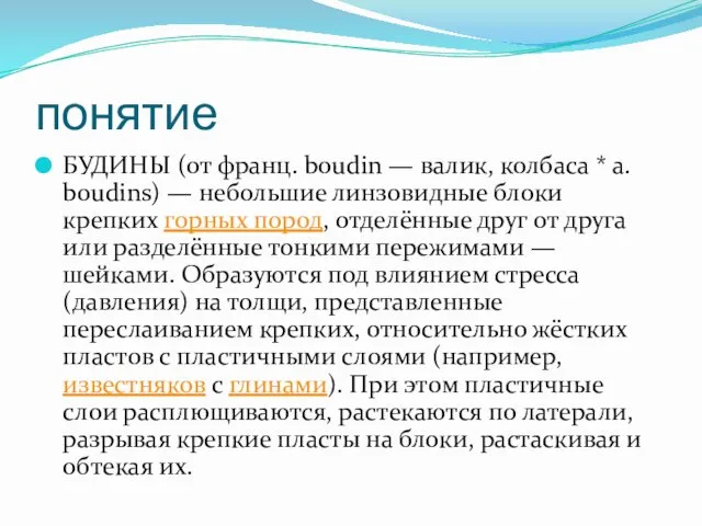 понятие БУДИНЫ (от франц. boudin — валик, колбаса * а.