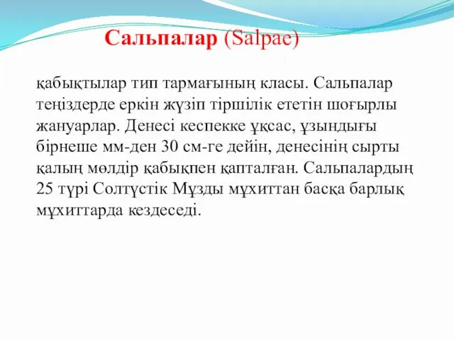 Сальпалар (Salpae) қабықтылар тип тармағының класы. Сальпалар теңіздерде еркін жүзіп