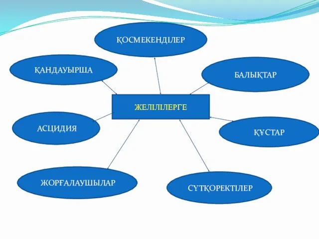 ЖЕЛІЛІЛЕРГЕ ҚОСМЕКЕНДІЛЕР БАЛЫҚТАР ҚҰСТАР СҮТҚОРЕКТІЛЕР ЖОРҒАЛАУШЫЛАР АСЦИДИЯ ҚАНДАУЫРША