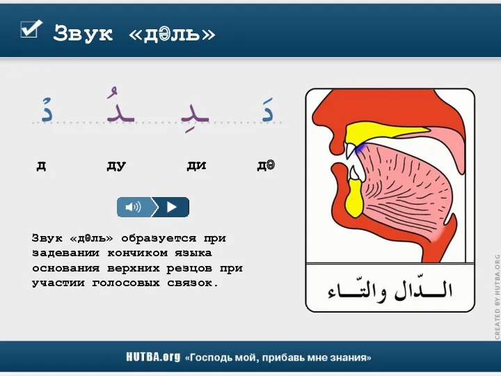 Звук «дәль» Звук «дәль» образуется при задевании кончиком языка основания