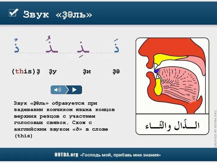 Звук «ҙәль» Звук «ҙәль» образуется при задевании кончиком языка концов
