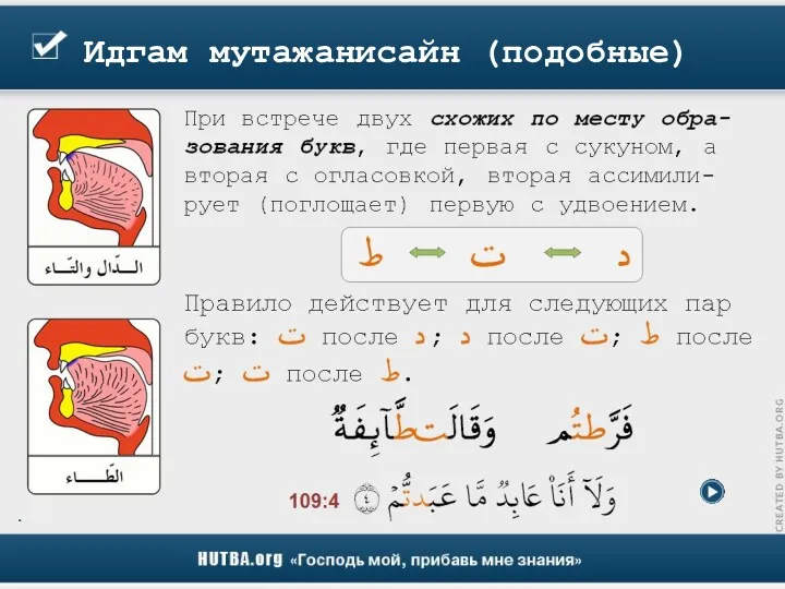 Идгам мутажанисайн (подобные)