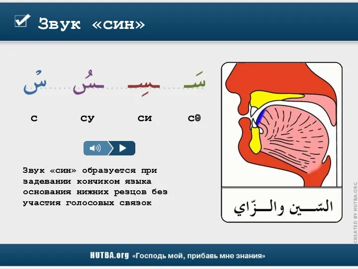 Звук «син» Звук «син» образуется при задевании кончиком языка основания