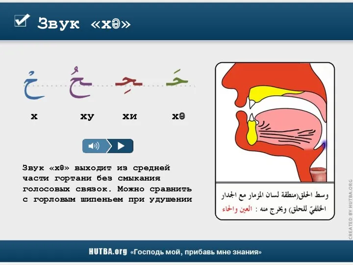 Звук «хә» Звук «хә» выходит из средней части гортани без