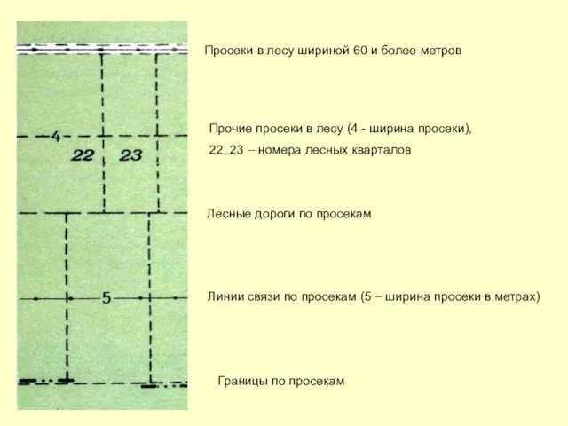 Просеки в лесу шириной 60 и более метров Прочие просеки