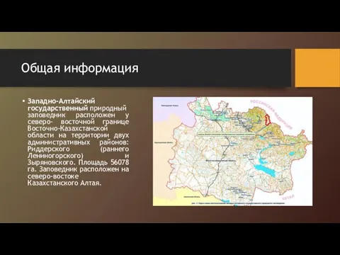 Общая информация Западно-Алтайский государственный природный заповедник расположен у северо- восточной