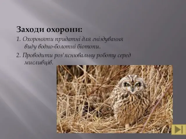 Заходи охорони: 1. Охороняти придатні для гніздування виду водно-болотні біотопи. 2. Проводити роз'яснювальну роботу серед мисливців.