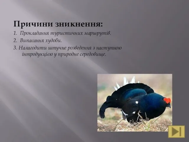 Причини зникнення: 1. Прокладання туристичних маршрутів. 2. Випасання худоби. 3.