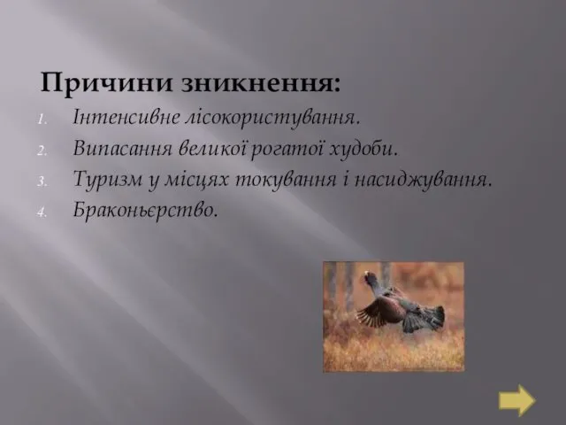 Причини зникнення: Інтенсивне лісокористування. Випасання великої рогатої худоби. Туризм у місцях токування і насиджування. Браконьєрство.