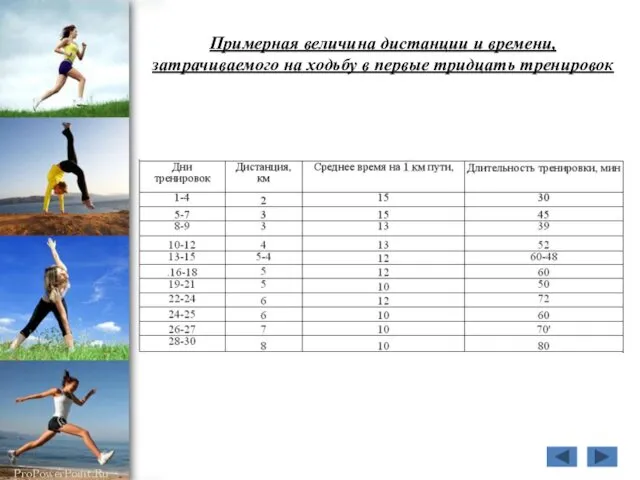 Примерная величина дистанции и времени, затрачиваемого на ходьбу в первые тридцать тренировок