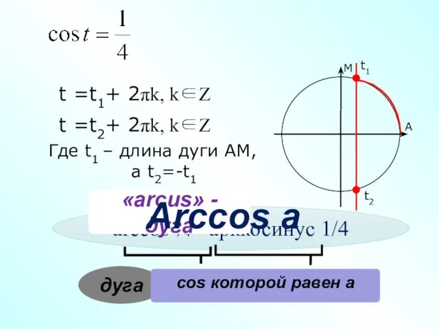 arccos ¼ - арккосинус 1/4 «arcus» - дуга t1 t2 A M t