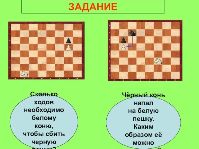 Сколько ходов необходимо белому коню, чтобы сбить черную пешку? Чёрный