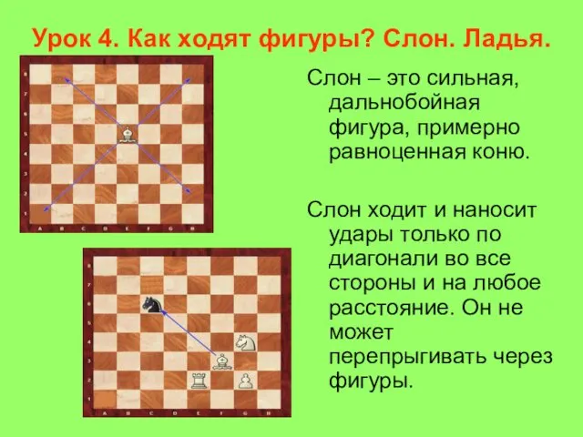 Урок 4. Как ходят фигуры? Слон. Ладья. Слон – это