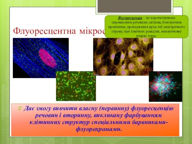 Флуоресцентна мікроскопія Дає змогу вивчити власну (первинну) флуоресценцію речовин і