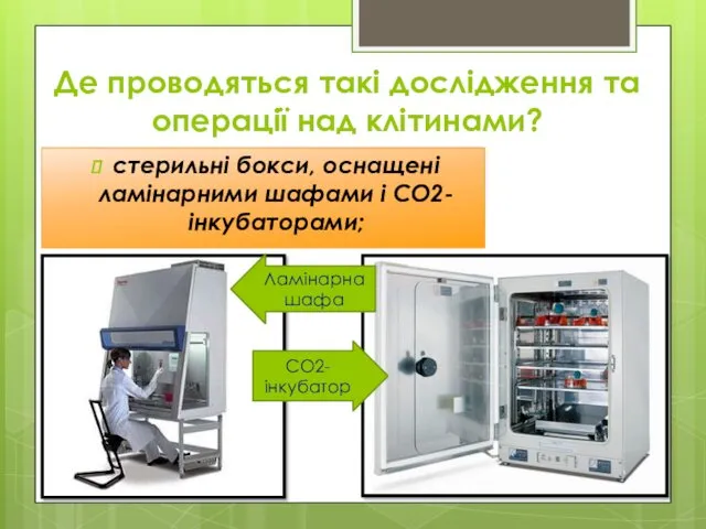 Де проводяться такі дослідження та операції над клітинами? стерильні бокси,