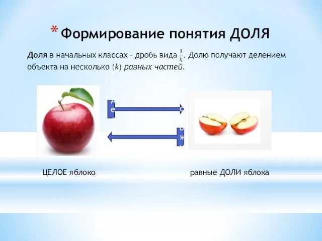 Формирование понятия ДОЛЯ ЦЕЛОЕ яблоко равные ДОЛИ яблока разделили сложили