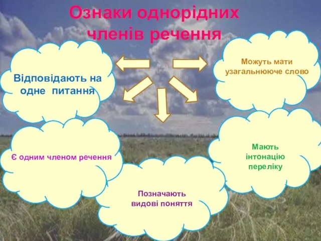 Можуть мати узагальнююче слово Позначають видові поняття Відповідають на одне