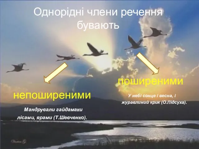 Однорідні члени речення бувають непоширеними Мандрували гайдамаки лісами, ярами (Т.Шевченко).