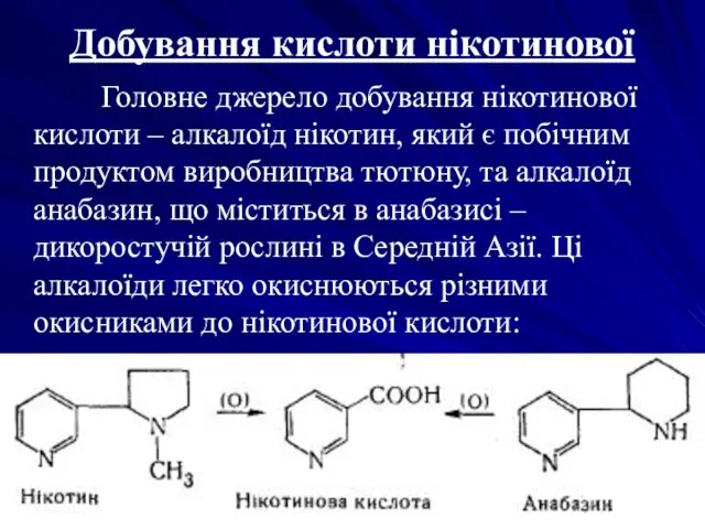 Добування кислоти нікотинової Головне джерело добування нікотинової кислоти – алкалоїд нікотин, який є
