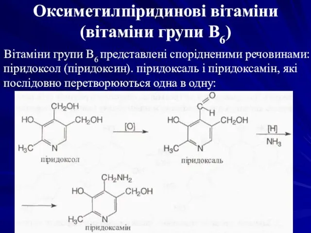 Оксиметилпіридинові вітаміни (вітаміни групи В6) Вітаміни групи В6 представлені спорідненими