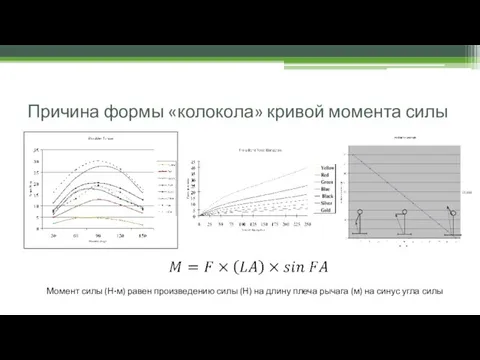 Причина формы «колокола» кривой момента силы Момент силы (Н·м) равен