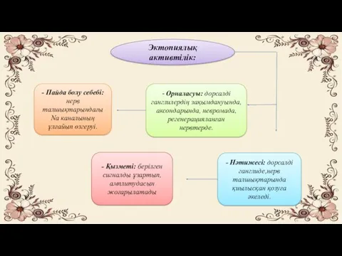 Эктопиялық активтілік: - Пайда болу себебі: нерв талшықтарындағы Na каналының ұлғайып өзгеруі. -