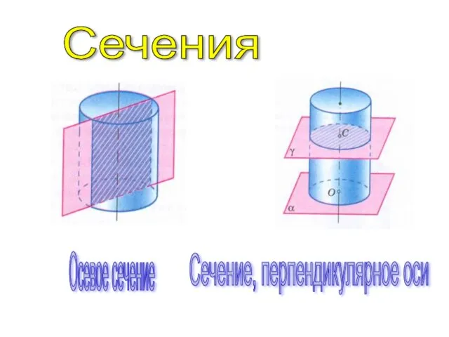 Сечения Осевое сечение Сечение, перпендикулярное оси