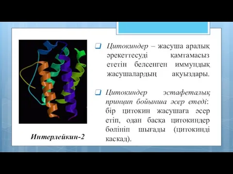 Интерлейкин-2 Цитокиндер – жасуша аралық әрекеттесуді қамтамасыз ететін белсенген иммундық