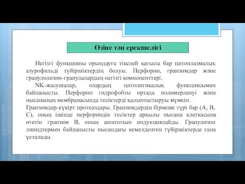 Өзіне тән ерекшелігі Негізгі функцияны орындауға тікелей қатысы бар цитоплазмалық