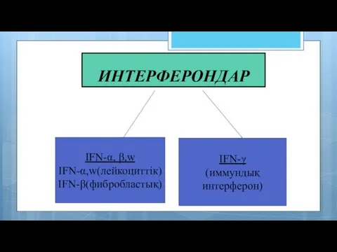 ИНТЕРФЕРОНДАР IFN-α, β,w IFN-α,w(лейкоциттік) IFN-β(фибробластық) IFN-γ (иммундық интерферон)
