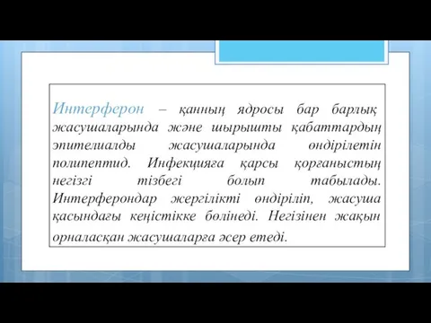 Интерферон – қанның ядросы бар барлық жасушаларында және шырышты қабаттардың