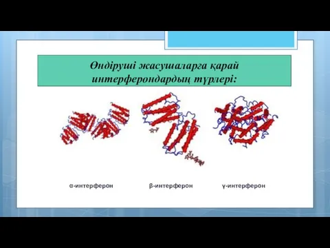 Өндіруші жасушаларға қарай интерферондардың түрлері: α-интерферон β-интерферон γ-интерферон