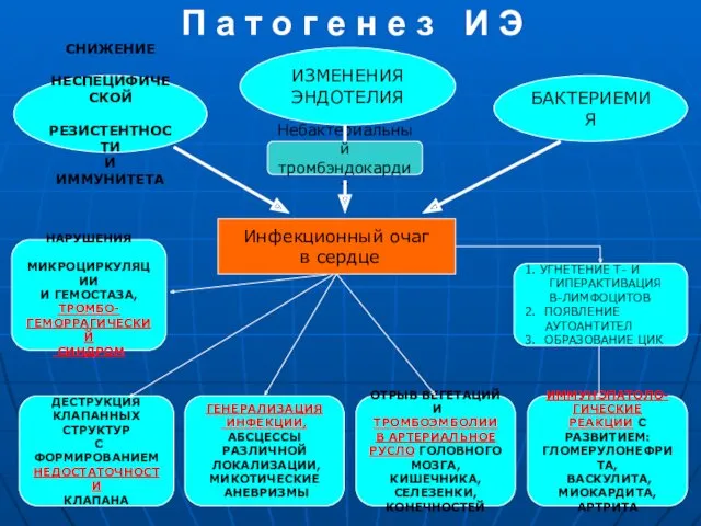 П а т о г е н е з И Э Инфекционный очаг