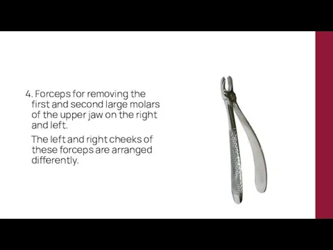 4. Forceps for removing the first and second large molars