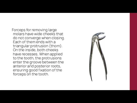 Forceps for removing large molars have wide cheeks that do