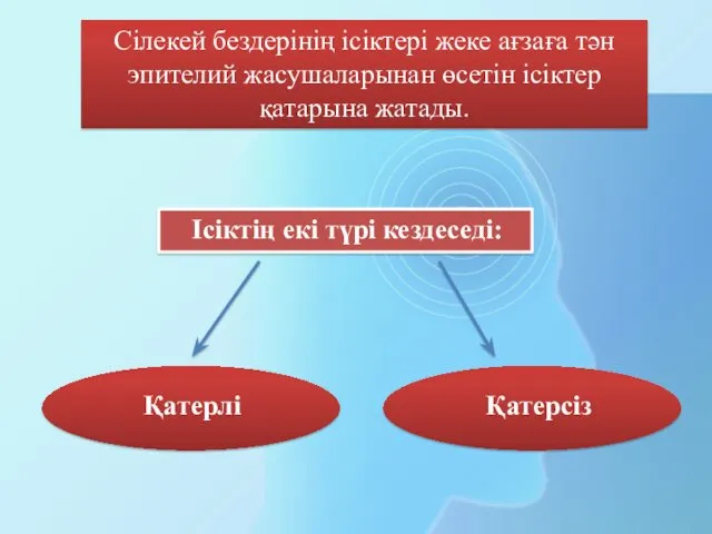 Сілекей бездерінің ісіктері жеке ағзаға тән эпителий жасушаларынан өсетін ісіктер