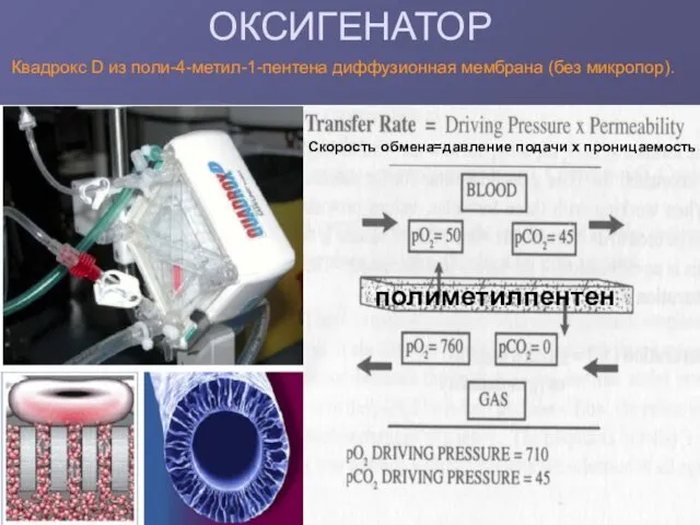 ОКСИГЕНАТОР полиметилпентен Квадрокс D из поли-4-метил-1-пентена диффузионная мембрана (без микропор). Скорость обмена=давление подачи х проницаемость