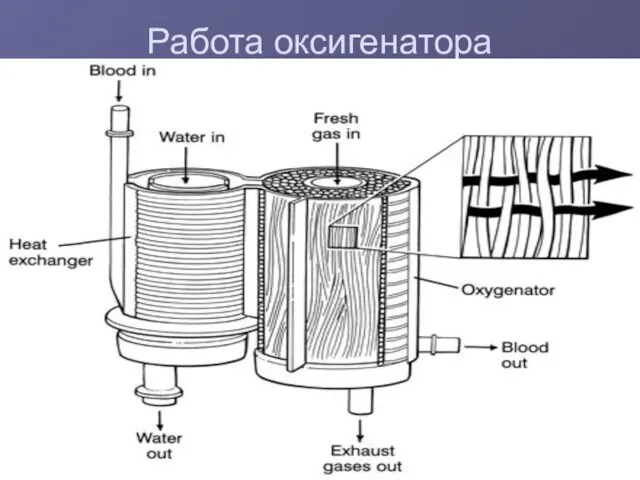 Работа оксигенатора