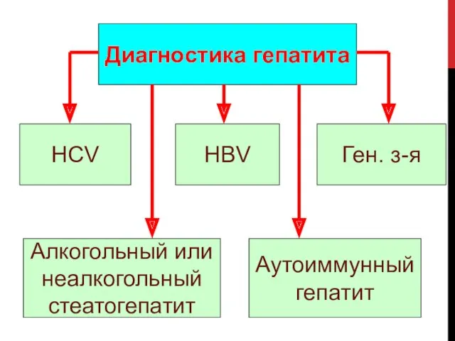 Диагностика гепатита HBV HCV Ген. з-я Алкогольный или неалкогольный стеатогепатит Аутоиммунный гепатит