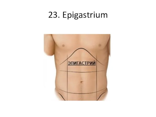 23. Epigastrium