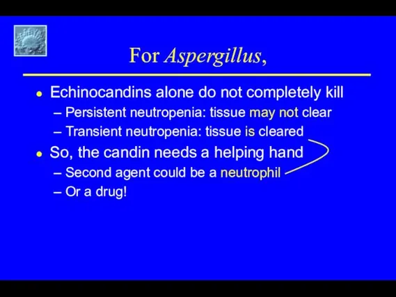 For Aspergillus, Echinocandins alone do not completely kill Persistent neutropenia: