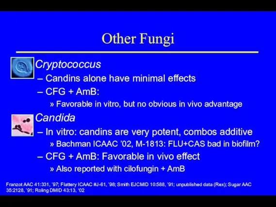 Other Fungi Cryptococcus Candins alone have minimal effects CFG +