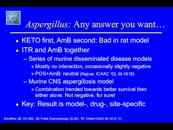 Aspergillus: Any answer you want… KETO first, AmB second: Bad