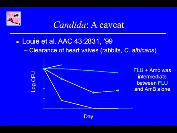 Candida: A caveat Louie et al. AAC 43:2831, ’99 Clearance