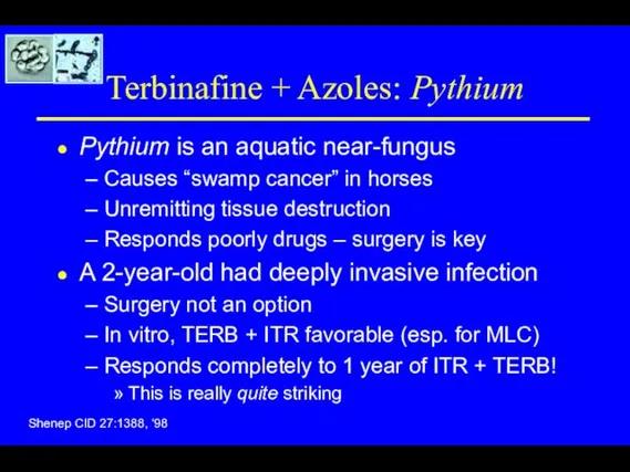 Terbinafine + Azoles: Pythium Pythium is an aquatic near-fungus Causes