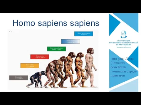 Homo sapiens sapiens вид рода Люди (Homo) из семейства гоминид в отряде приматов
