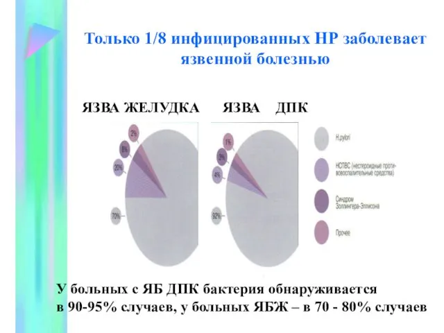 Только 1/8 инфицированных НР заболевает язвенной болезнью ЯЗВА ЖЕЛУДКА ЯЗВА ДПК У больных