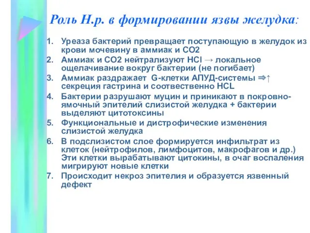 Роль Н.р. в формировании язвы желудка: Уреаза бактерий превращает поступающую в желудок из